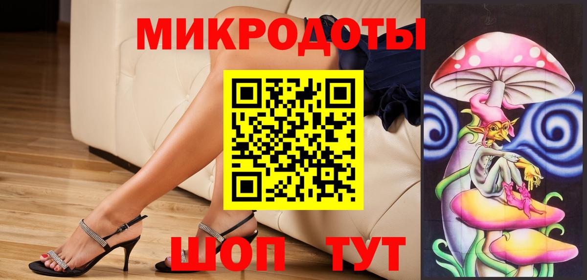 Псилоцибиновые грибы Psilocybine cubensis Лысьва